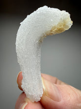 Load image into Gallery viewer, RARE COMBO Moroccan Ram’s Horn Selenite (Gypsum) with Yellow Botryoidal Fluorite Display Specimen
