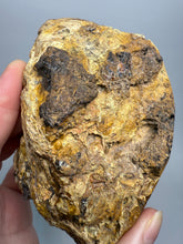 Load image into Gallery viewer, MUSEUM Turkish Agate with Intriguing Inclusions – Great Sticks, Banding and Eyes - Turkey