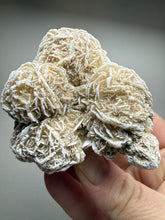 Load image into Gallery viewer, Desert Rose Selenite (Gypsum) — Mineral Display Specimen | Mexico