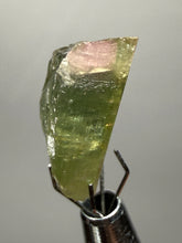 Load image into Gallery viewer, Raw Bi-Color Tourmaline Crystal Specimen | Ocean View Mine, Pala, California, USA