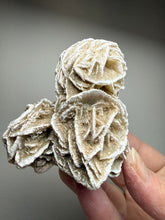 Load image into Gallery viewer, Desert Rose Selenite (Gypsum) — Mineral Display Specimen | Mexico