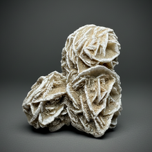 Load image into Gallery viewer, Desert Rose Selenite (Gypsum) — Mineral Display Specimen | Mexico