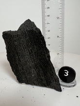 Load image into Gallery viewer, Black Druzy Petrified Wood from Indonesia