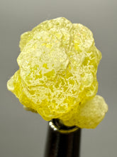 Load image into Gallery viewer, Vibrant Yellow Brucite Thumbnail Mineral Specimen | Collector Crystal from Killa Saifullah District in Balochistan Province, Pakistan
