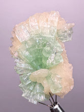 Load image into Gallery viewer, Green Radial “Disco Ball” Apophyllite | Maharashtra, India