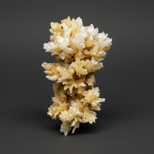 Load image into Gallery viewer, 2.9” High-Grade Flower Calcite Specimen | Wenshan Mine, Yunnan, China | Collector Mineral Display
