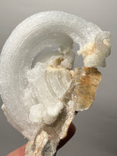 Load image into Gallery viewer, Moroccan Ram’s Horn Selenite (Gypsum) Crystal Display Specimen