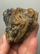 Load image into Gallery viewer, Premium Sumatra Agate (Banded Chalcedony) Display Specimen | Indonesia