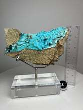 Load image into Gallery viewer, Chrysocolla Druzy Botryoidal Stalactites Pseudomorph after Malachite on Matrix from Congo • Fine Mineral Collector’s Showpiece