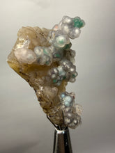Load image into Gallery viewer, Blue-Green Chrysocolla in Botryoidal Chalcedony Cabinet Specimen | Indonesia