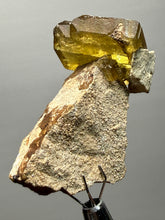 Load image into Gallery viewer, Vibrant Yellow Barite | Collector Display Specimen | Taourirt Mine, Morocco