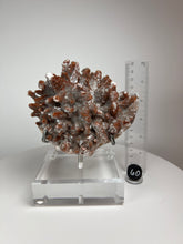 Load image into Gallery viewer, Red Phantom Pagoda Tower Calcite from Hubei Province, China • High Grade High Shine • Stand Included • Mineral Collector’s Showpiece