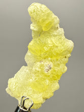 Load image into Gallery viewer, Vibrant Yellow Brucite Thumbnail Mineral Specimen | Collector Crystal from Killa Saifullah District in Balochistan Province, Pakistan