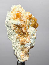 Load image into Gallery viewer, Hessonite Garnet Cluster on Matrix – Natural Collector Specimen from Pakistan | High-Grade Orange-Red Garnet Crystals