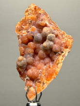 Load image into Gallery viewer, “Goblin Chalcedony” Pink & Orange Druzy Botryoidal Stalactites— Tichka Massif, High Atlas, Morocco