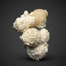Load image into Gallery viewer, High-Grade Botryoidal Mordenite & Peach Stilbite — Zeolite Mineral Specimen | Maharashtra, India