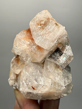 Load image into Gallery viewer, Rare Red Apophyllite Crystal Cluster – High Grade Collector Mineral Specimen | India
