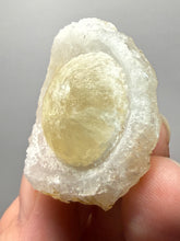 Load image into Gallery viewer, Rare Botryoidal Yellow Fluorite on Quartz Matrix Collector Mineral Specimen – Maharashtra, India