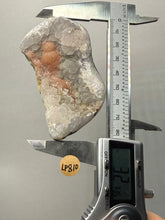 Load image into Gallery viewer, Rare Botryoidal Orange Fluorite on Druzy Quartz Matrix
Collector Mineral Specimen — Maharashtra, India