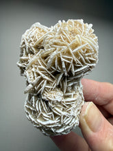 Load image into Gallery viewer, Desert Rose Selenite (Gypsum) — Mineral Display Specimen | Mexico
