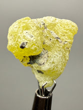 Load image into Gallery viewer, Vibrant Yellow Brucite Thumbnail Mineral Specimen | Collector Crystal from Killa Saifullah District in Balochistan Province, Pakistan