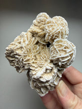 Load image into Gallery viewer, Desert Rose Selenite (Gypsum) — Mineral Display Specimen | Mexico