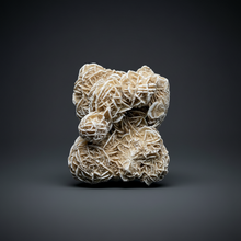 Load image into Gallery viewer, Desert Rose Selenite (Gypsum) — Mineral Display Specimen | Mexico