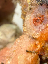 Load image into Gallery viewer, “Goblin Chalcedony” Pink & Orange Druzy Botryoidal Stalactites — Tichka Massif, High Atlas, Morocco