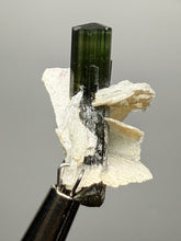 Load image into Gallery viewer, Dark Green Stak Nala Tourmaline and Cleavelandite – Haramosh Mountains, Pakistan | Thumbnail Specimen