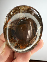 Load image into Gallery viewer, Cobra Jasper Palm Stone from India • High Grade