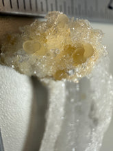 Load image into Gallery viewer, RARE COMBO Moroccan Ram’s Horn Selenite (Gypsum) with Yellow Botryoidal Fluorite Display Specimen