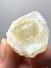 Load image into Gallery viewer, Rare Botryoidal Yellow Fluorite on Quartz Matrix Collector Mineral Specimen – Maharashtra, India