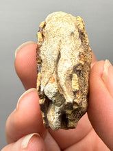 Load image into Gallery viewer, Premium Sumatra Agate (Banded Chalcedony) Display Specimen | Indonesia