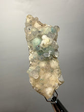 Load image into Gallery viewer, Blue-Green Chrysocolla in Botryoidal Chalcedony Cabinet Specimen | Indonesia