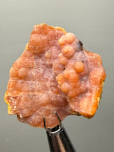 Load image into Gallery viewer, “Goblin Chalcedony” Pink and Red Druzy Botryoidal Stalactites — Tichka Massif, High Atlas, Morocco