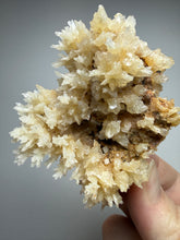 Load image into Gallery viewer, High-Grade Coral Aragonite Crystal Specimen – Wenshan Mine, Yunnan, China