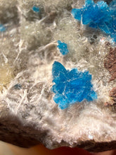 Load image into Gallery viewer, Rare Electric Blue Pentagonite on Druzy Matrix – Collector Mineral Specimen | India
