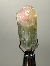 Load image into Gallery viewer, Raw Bi-Color Tourmaline Crystal Specimen | Ocean View Mine, Pala, California, USA