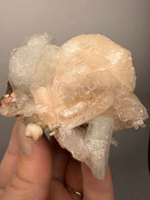 Load image into Gallery viewer, High-Grade Apophyllite on Pink Stilbite Zeolite | Indian Collector Mineral Specimen