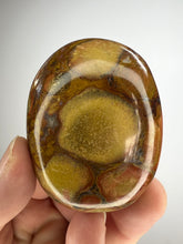 Load image into Gallery viewer, Cobra Jasper Palm Stone from India • High Grade