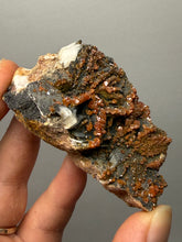 Load image into Gallery viewer, Natural Vanadinite on Matrix | Collector Mineral Specimen | Morocco