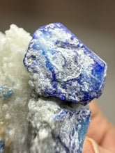 Load image into Gallery viewer, Afghan Lazurite W Afghanite Specimen | Deep Blue Lapis-Grade Crystal on Matrix | Collector Display Mineral