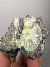 Load image into Gallery viewer, High-Grade Green Wavellite Collectors Specimen - Radiating Botryoidal Crystal Formation - Arkansas, USA