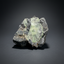 Load image into Gallery viewer, High-Grade Green Wavellite Collectors Specimen - Radiating Botryoidal Crystal Formation - Arkansas, USA
