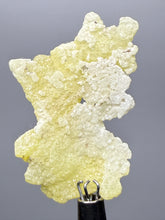 Load image into Gallery viewer, Vibrant Yellow Brucite Thumbnail Mineral Specimen | Collector Crystal from Killa Saifullah District in Balochistan Province, Pakistan
