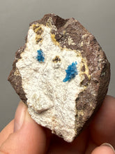 Load image into Gallery viewer, Rare Electric Blue Pentagonite on Druzy Matrix – Collector Mineral Specimen | India