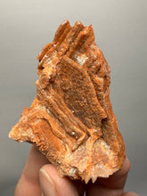 Load image into Gallery viewer, Chalcedony Quartz Rose Agate Collector Mineral Specimen – Morocco