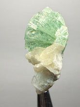Load image into Gallery viewer, Green Radial “Disco Ball” Apophyllite | Maharashtra, India