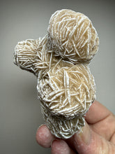 Load image into Gallery viewer, Desert Rose Selenite (Gypsum) — Mineral Display Specimen | Mexico