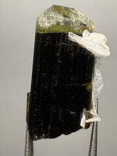 Load image into Gallery viewer, Green Cap Stak Nala Tourmaline with Cleavelandite – Haramosh Mountains, Pakistan | Thumbnail Specimen